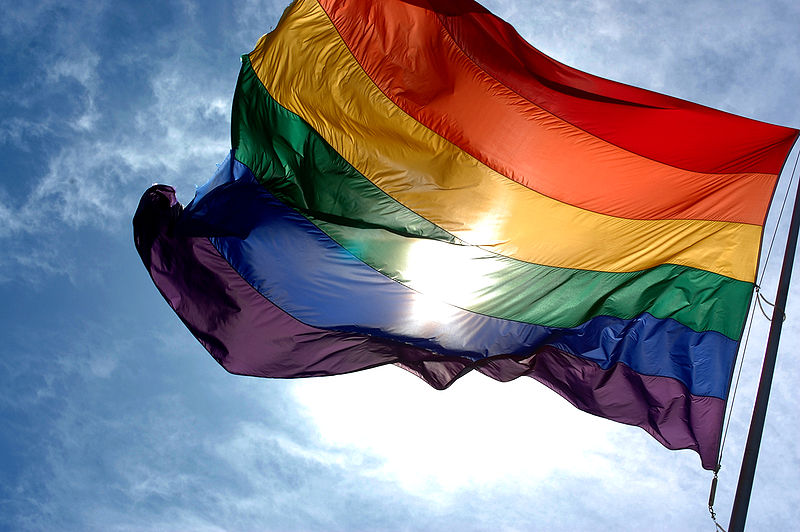 vikerkaarelipp - rainbow flag